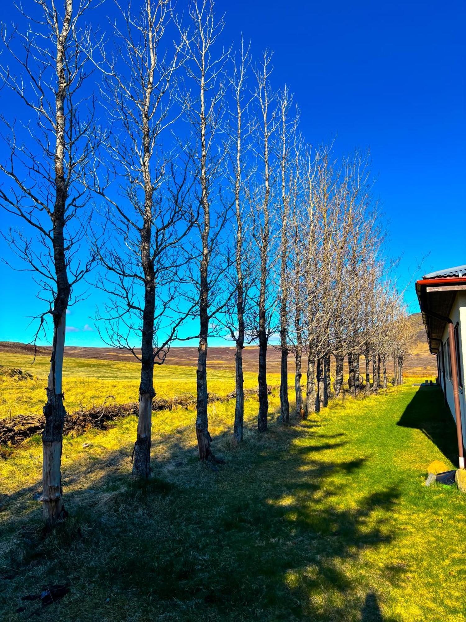 Bru Country Estate Hotel